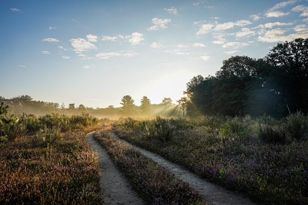 Sun rises in nature reserve The Leudal, one of the Big Five