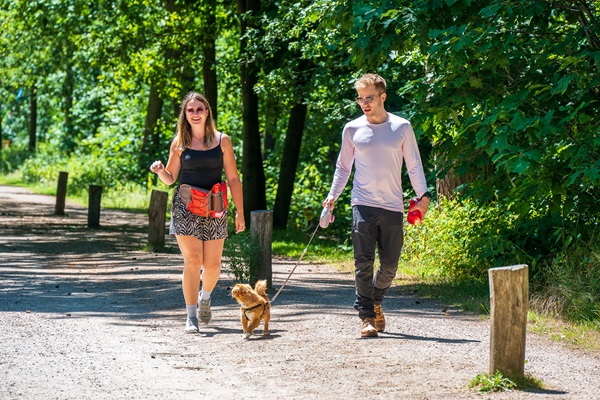 Ehepaar wandert mit dem Hund durch das IJzeren Man Gebiet in Weert